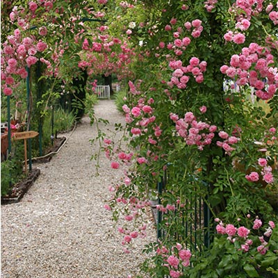 les jardins de Nanteuillet